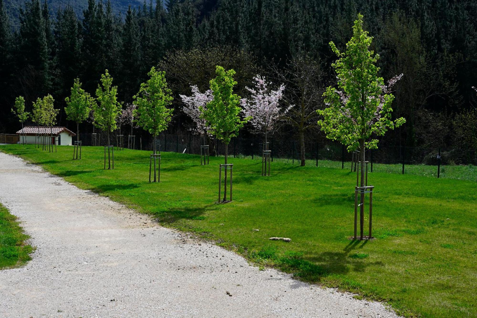 Camping Liebana Cabezon de Liebana ภายนอก รูปภาพ